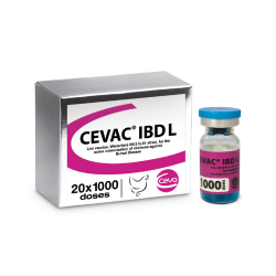 Cevac ibd l